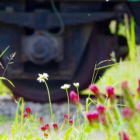 ラウターバッハ Urlaubsbahnhof-Schlafwagenヴィラ エクステリア 写真