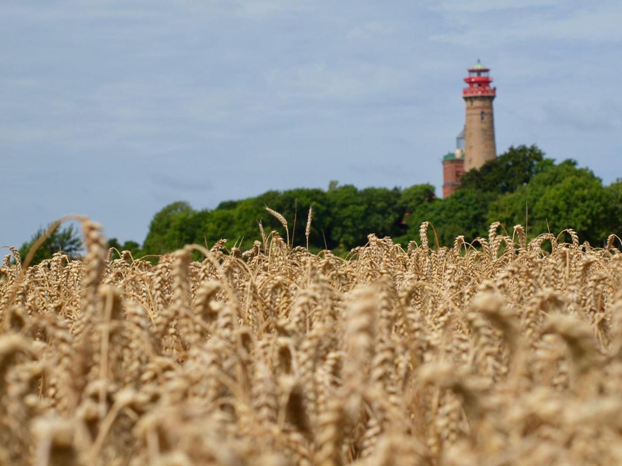 ラウターバッハ Urlaubsbahnhof-Schlafwagenヴィラ エクステリア 写真